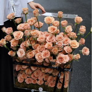 Hộp Hoa Hồng Cappuccino Trong Rương Mica