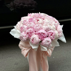 Pack Hoa Mẫu Đơn Hồng Pastel