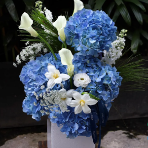 Chậu Lụa Cẩm Tú Cầu Xanh