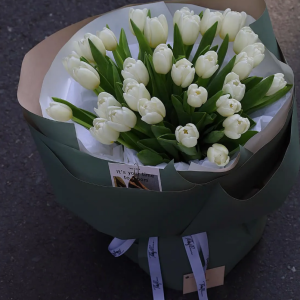 Bó Hoa Tulip Trắng